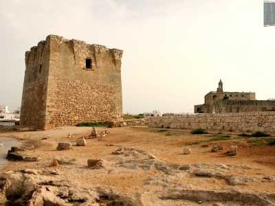 La torre si trova praticamente sul mare e sovrasta una spiaggia formata da piccoli scogli e pietroline